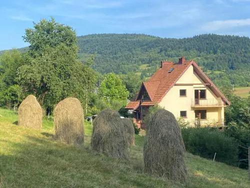 W górach nad strumieniem