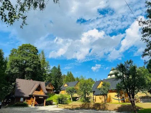 Niedźwiedziówka