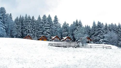 Domki w Kasinie
