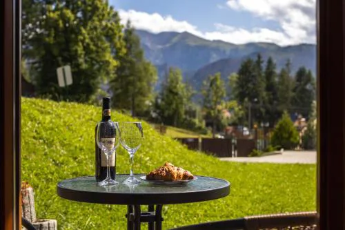 Apartament Południowy z widokiem na Tatry- sauna, jacuzzi, kominek