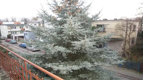 2 nie wynajmuje