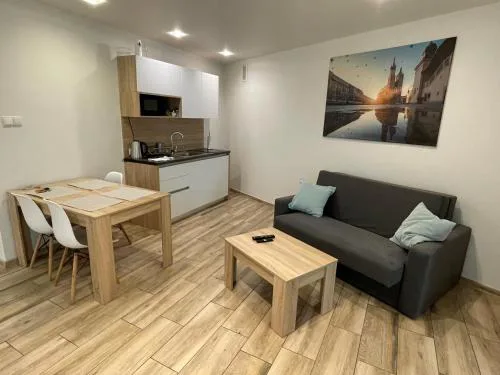 Apartment in the Krakow Old Town Bosacka 7