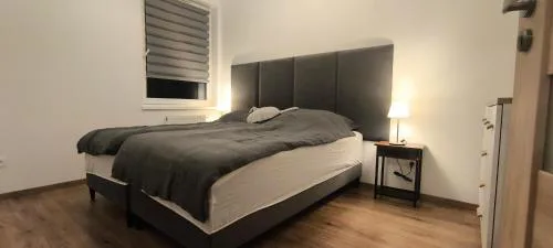 Apartment Orlińskiego