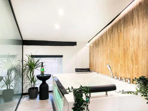 Apartment Premium Jacuzzi, Old Town Cracow