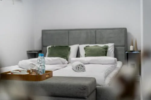 Malila Premium Apartments Cracow Centre Starowiślna 28