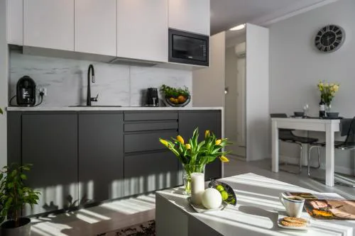 N7 apartment near Vistula river