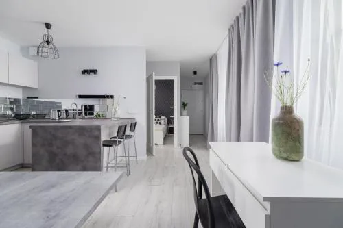 One Bedroom Apartment with a Balcony - Dietla 109 street