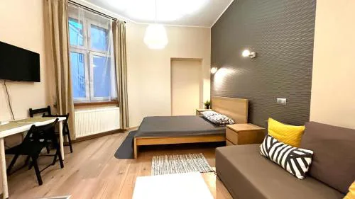 Przestronne Studio w centrum