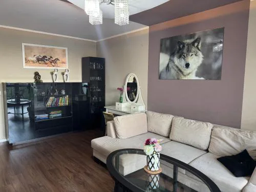 Supreme Luxury Apartment