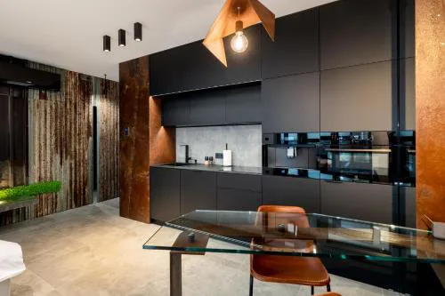 Wiślane Tarasy - UNIQUE Apartments 4YOU - 10 piętro z pięknym widokiem na centrum Krakowa