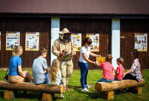 Miodowa Zagroda - nocleg Zator Energylandia