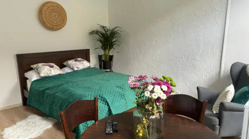 Apartamenty Stare Miasto Sobieski