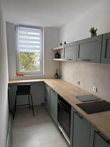 Family Apartment
