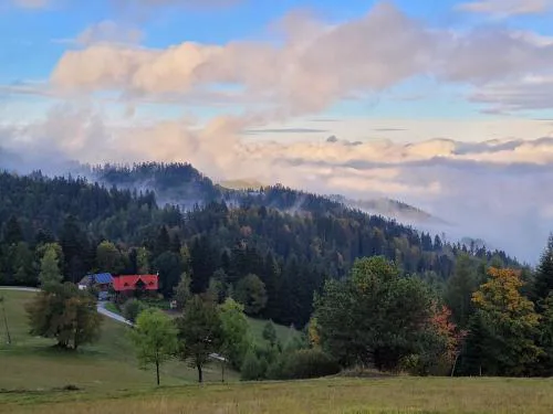 Domek na Obidzy