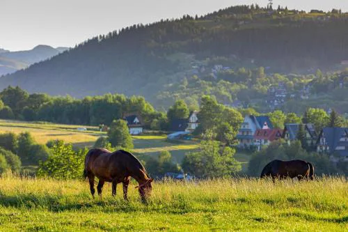 Siedlisko u Magdy Zakopane z widokiem na Tatry