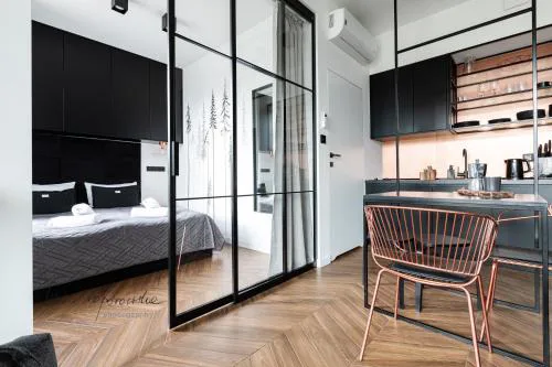WILLA POD KASPROWYM APARTAMENT NUMER 2-Air conditioning