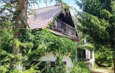 Holiday Home Dziemiany Radun