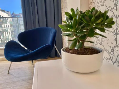 Ann's Apartment - Near Old Town & Marina, Free Parking & WiFi