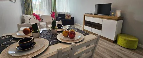 Apartament Dworska 33