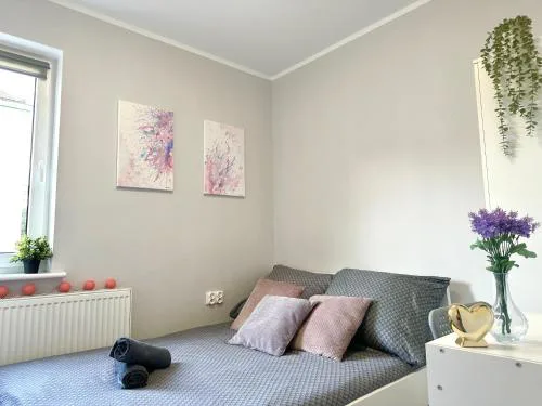 MMRent Pink Fusion Room