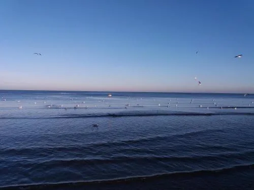 Sound Of The Sea