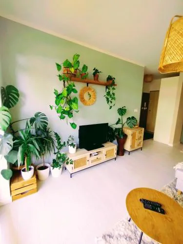 Boho House Klimatyczne mieszkanie z ogródkiem w pobliżu plaży