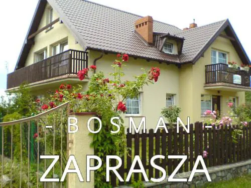 Nasz Bosman