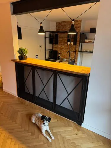 Apartamenty Studio