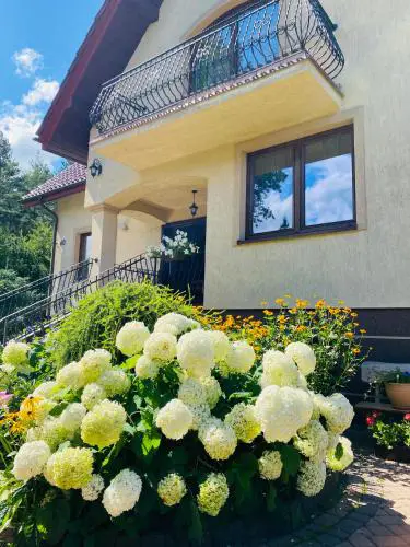Dom Letni Kopalino