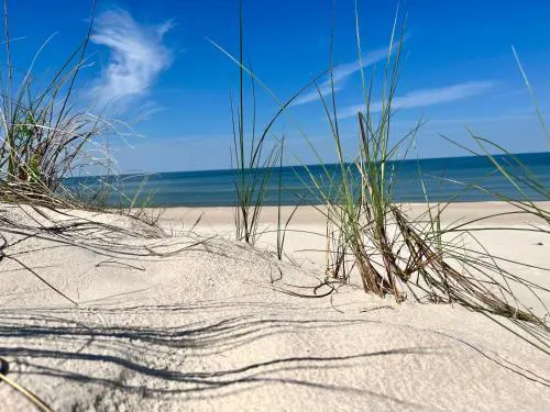 morze i plaża