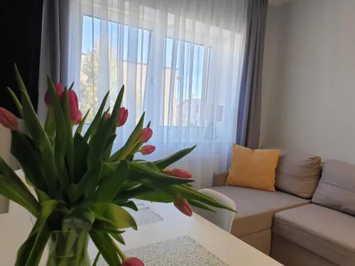 Suite Sandra Apartament
