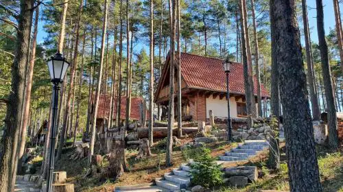 Osada Swory domki w lesie nad jeziorem