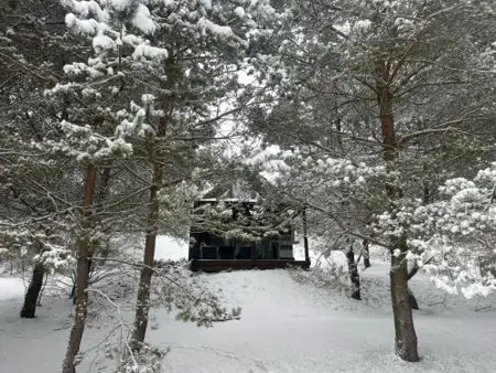 Cosy Cabin - domek na Kaszubach z sauną, balią i basenem