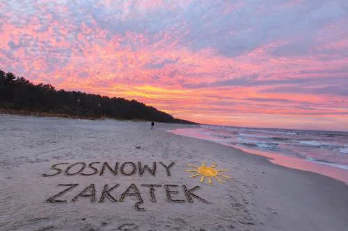 Sosnowy Zakątek Stegna- wędkowanie, rowery, plac zabaw