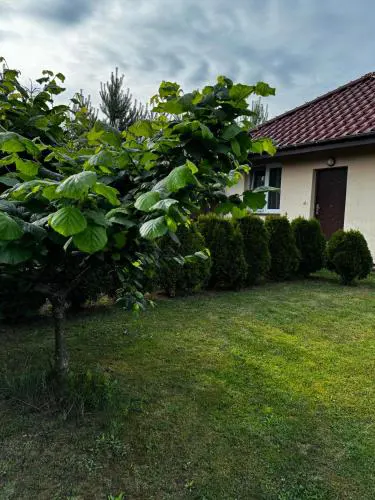 Domek Machowino w Dolinie nad Stawem