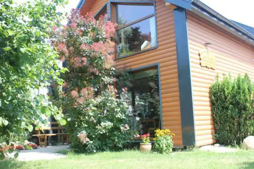 Całoroczny domek z patio