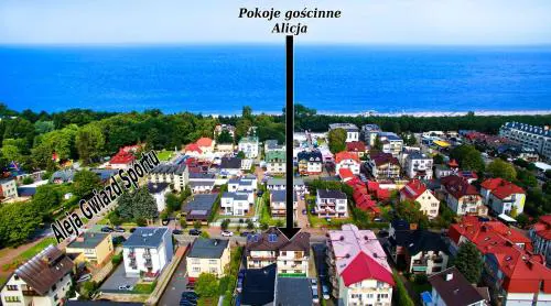 Top location Alicja klebba