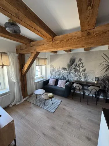 Apartament Centro 9