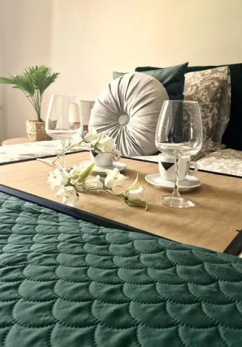 Elite Home 1 Jeżyce- Barańczaka 1
