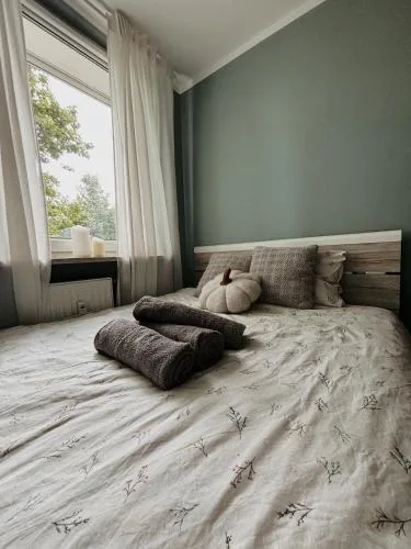 Grunwald apartment