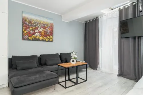 Stylowe i Eleganckie Studia Very Berry w Poznaniu by Noclegi Renters