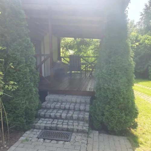 Zielony zakatek