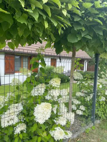 Apartamenty Buczyna w Sierakowie