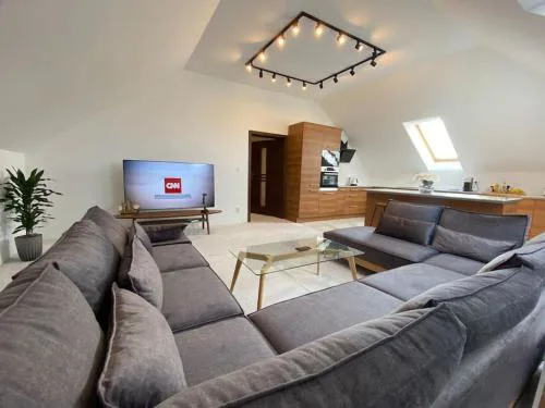 Strzyzewo Witkowskie Luxury Apartment