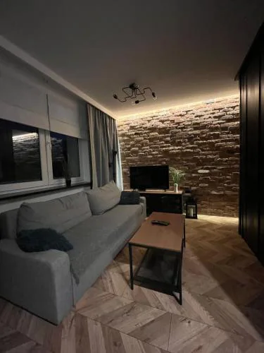 Luksusowy loft nad jeziorem Swarzędz - Poznań TV wi-fi pralko-suszarka piekarnik
