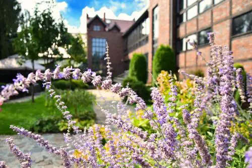 Stara Szkoła Boutique Hotel