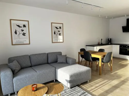 Apartamenty pod sosną