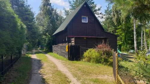 domki nad jeziorem, las, do 10 osób jezioro Wilczyńskie Budzisławskie - domek letniskowy osobno ogrodzony, ogrzewany mile widziane pieski, zwierzeta- wielkopolska, 62-550 Zygmuntowo gm Wilczyn