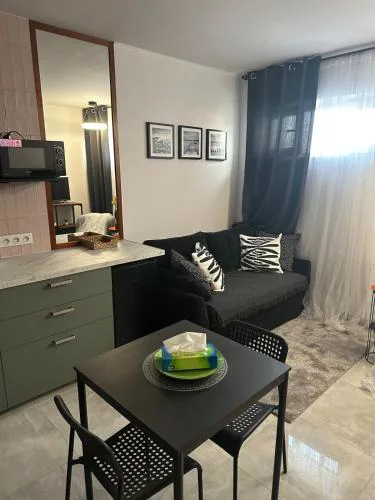 Stylish apartmens near Minsk Mazowiecki