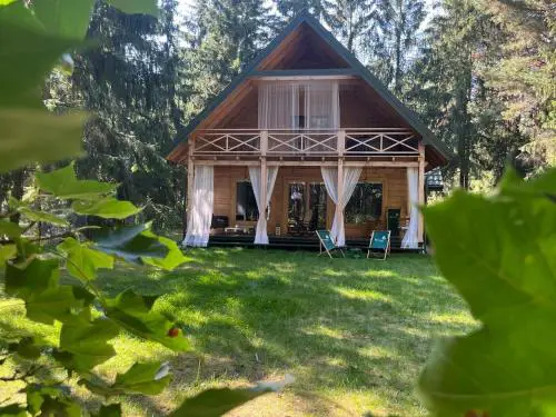 Raj w lesie - Paradise in the woods